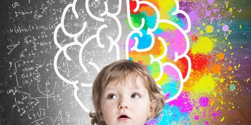 Impact of Brain Development on a Child's Future